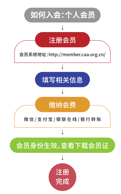 中年人坐飞机托管的必要性及其流程解析