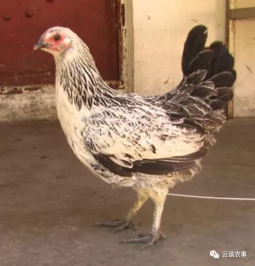 热搜 第49页