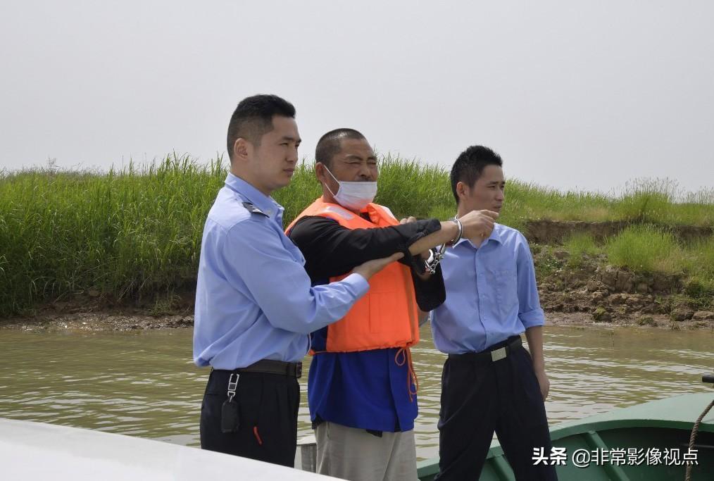 为了单位利益犯罪，探究背后的复杂因素与应对之道