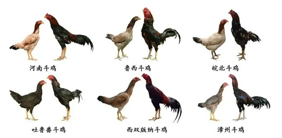 热搜 第44页