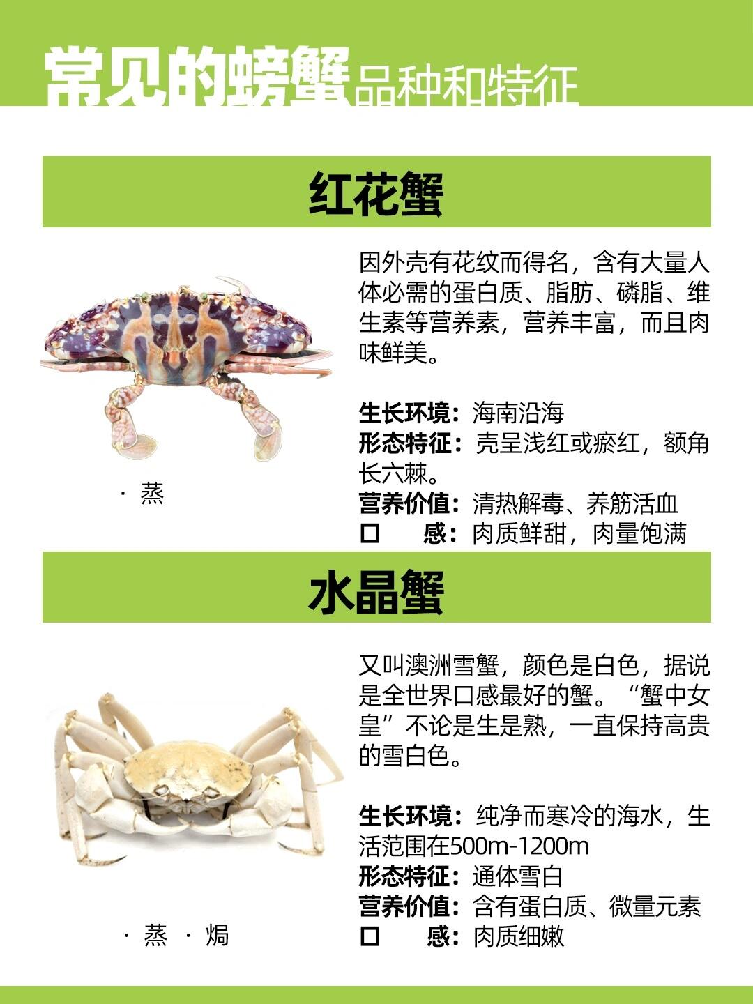 常见蟹类种类介绍