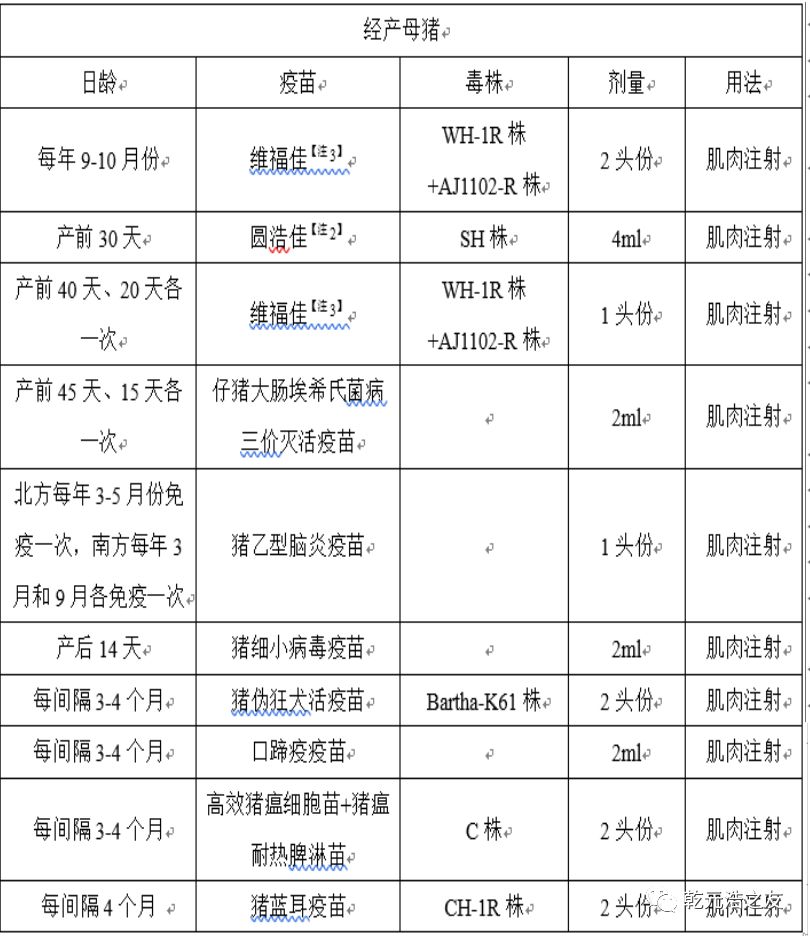 猪疫苗的种类及其重要性