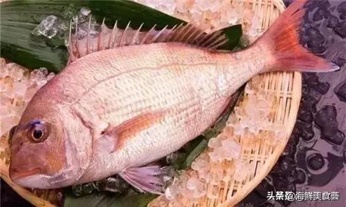 鸡名种类及其特点