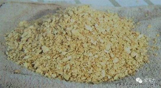 常见的蛋白质饲料种类及其在养殖业中的重要性