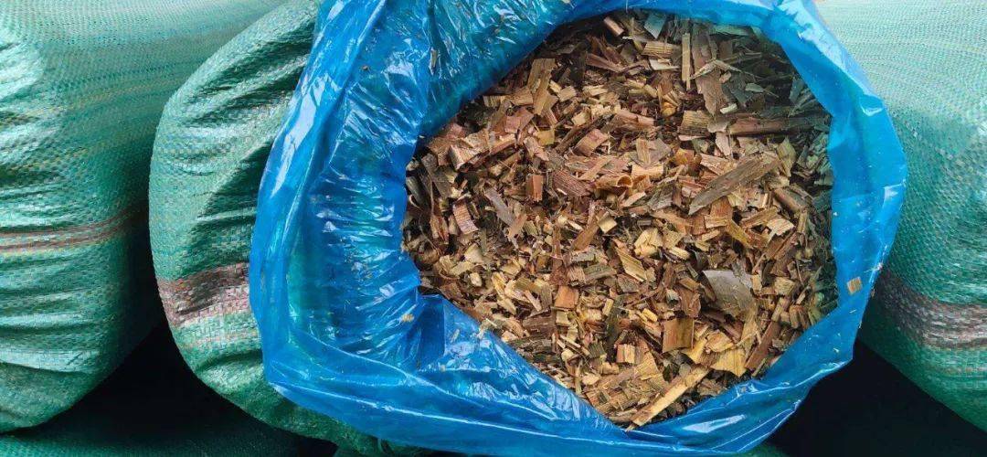 养牛饲料的种类及其重要性