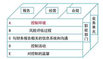 鱼苗种类鉴别，关键知识与技巧