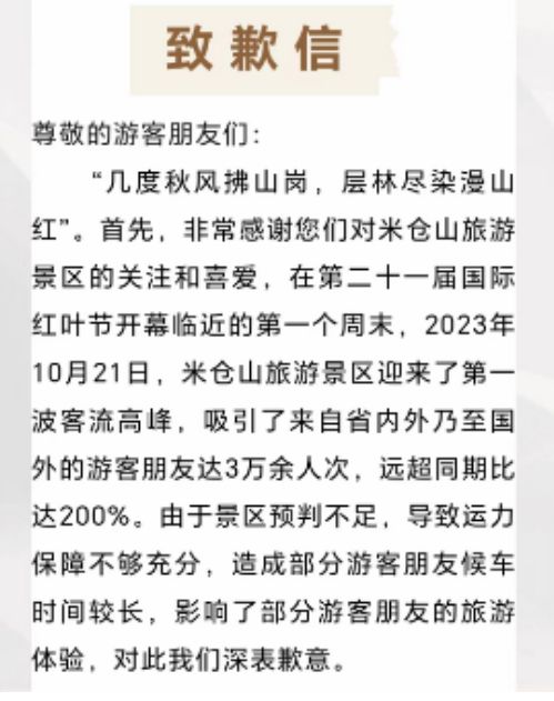 损害股东利益的现象，深度剖析与应对之策