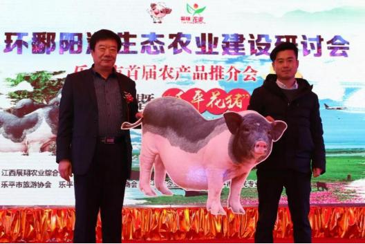 猪的多样性种类，探索猪的世界