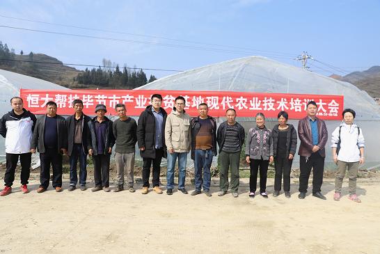 一体化板的优势，革新建筑与科技的完美结合