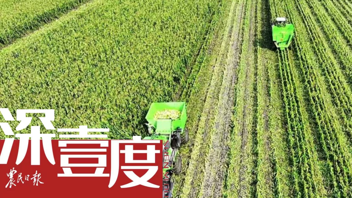 养殖创投公司，引领现代农业的新力量