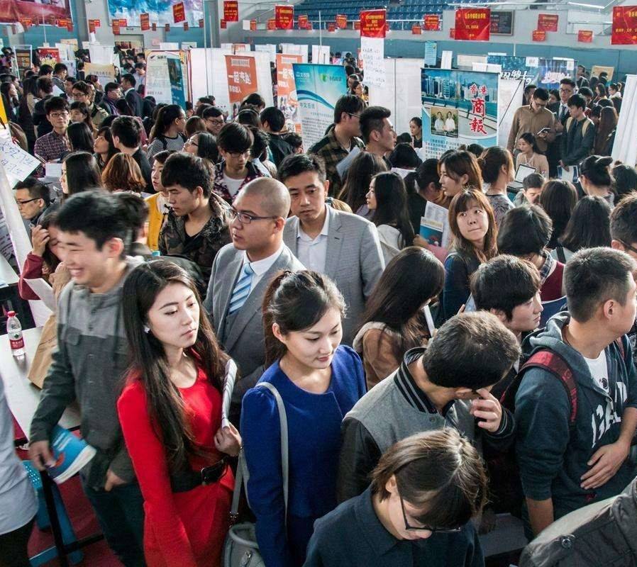 工程移民的毕业专业，探索与洞察