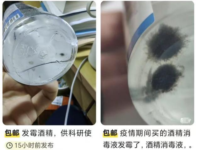 常见霉菌种类及其特点