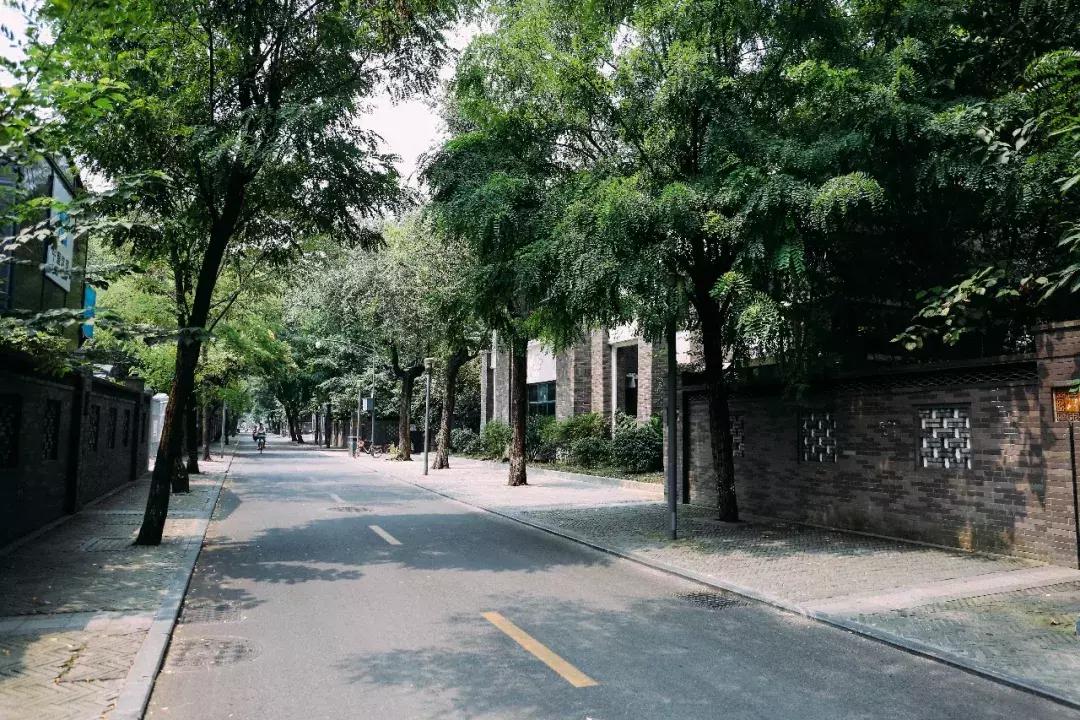 贵州咖啡木纹之美，深度探索与图片欣赏