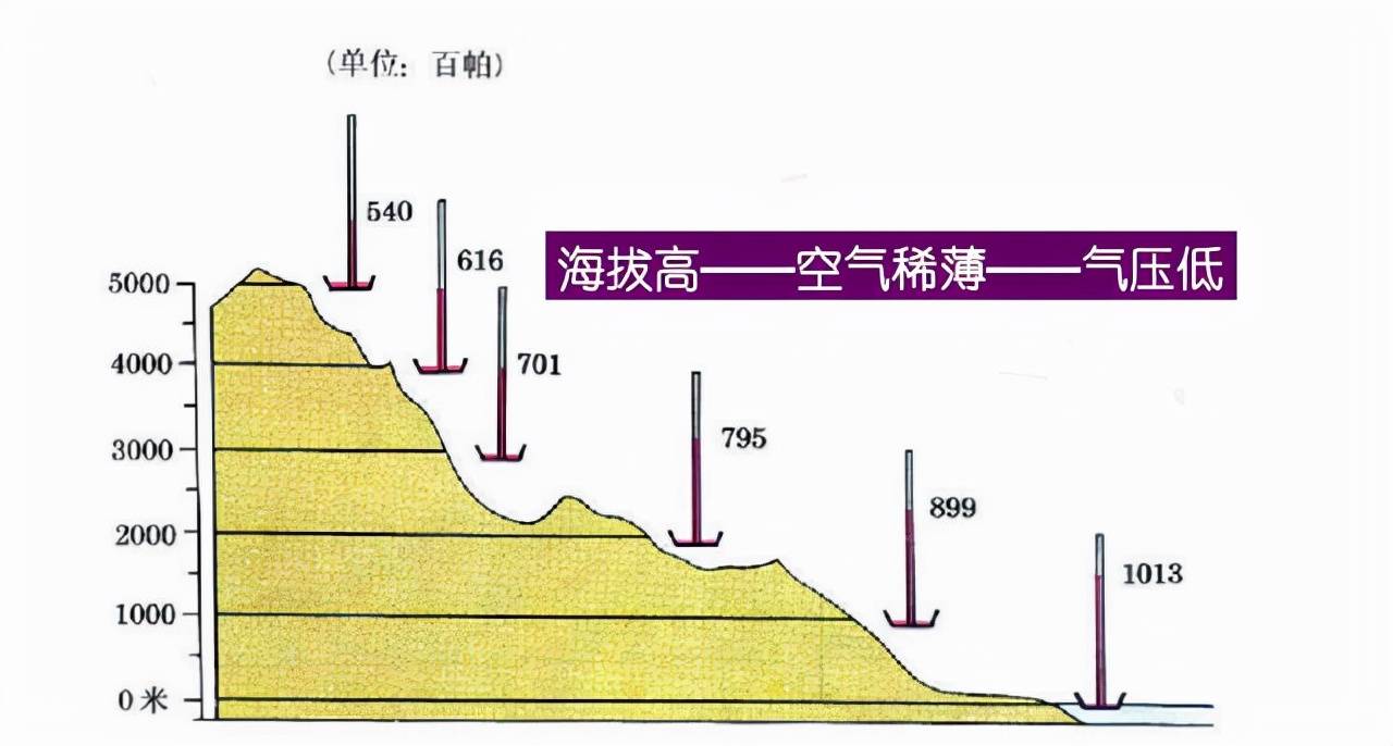 新闻 第5页