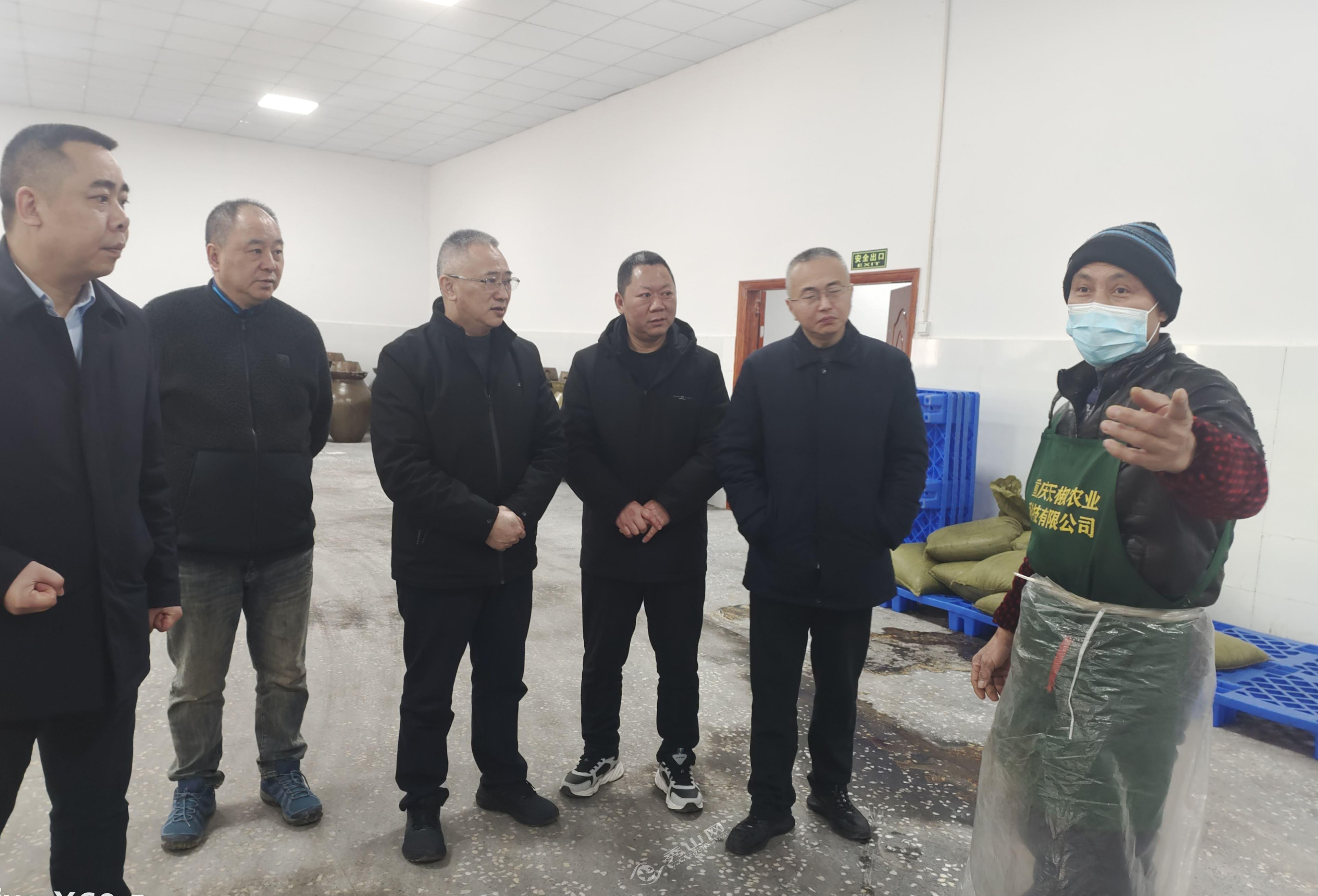 大棚放苗，现代农业生产的新篇章