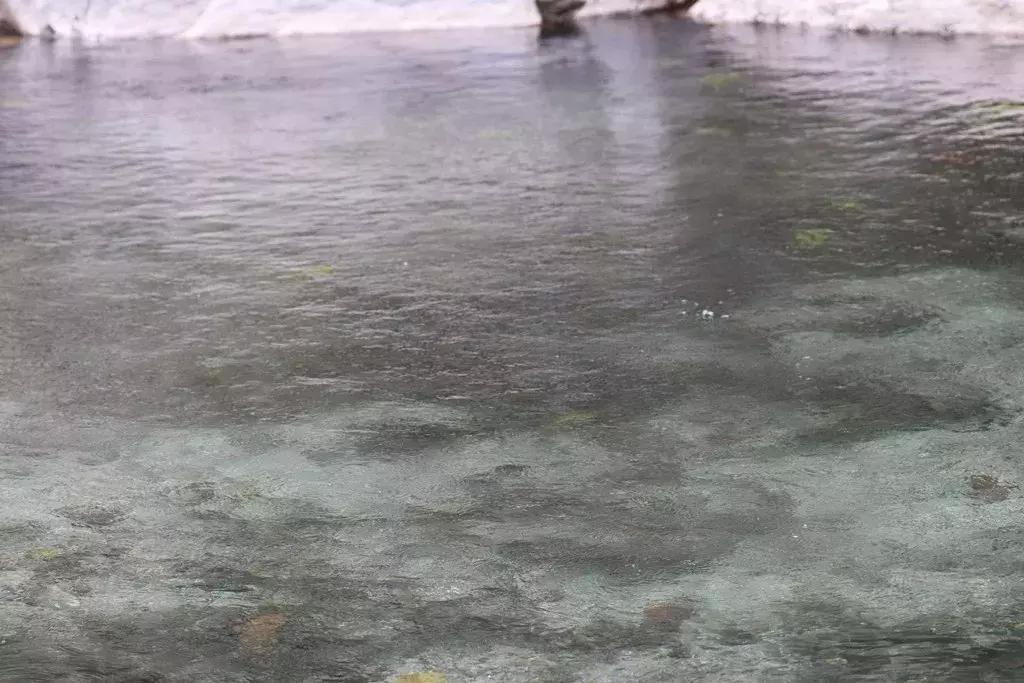 越野跑高黎贡山赛道，挑战自然，超越自我