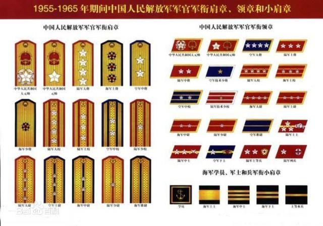 少将级别待遇，荣誉与责任的象征