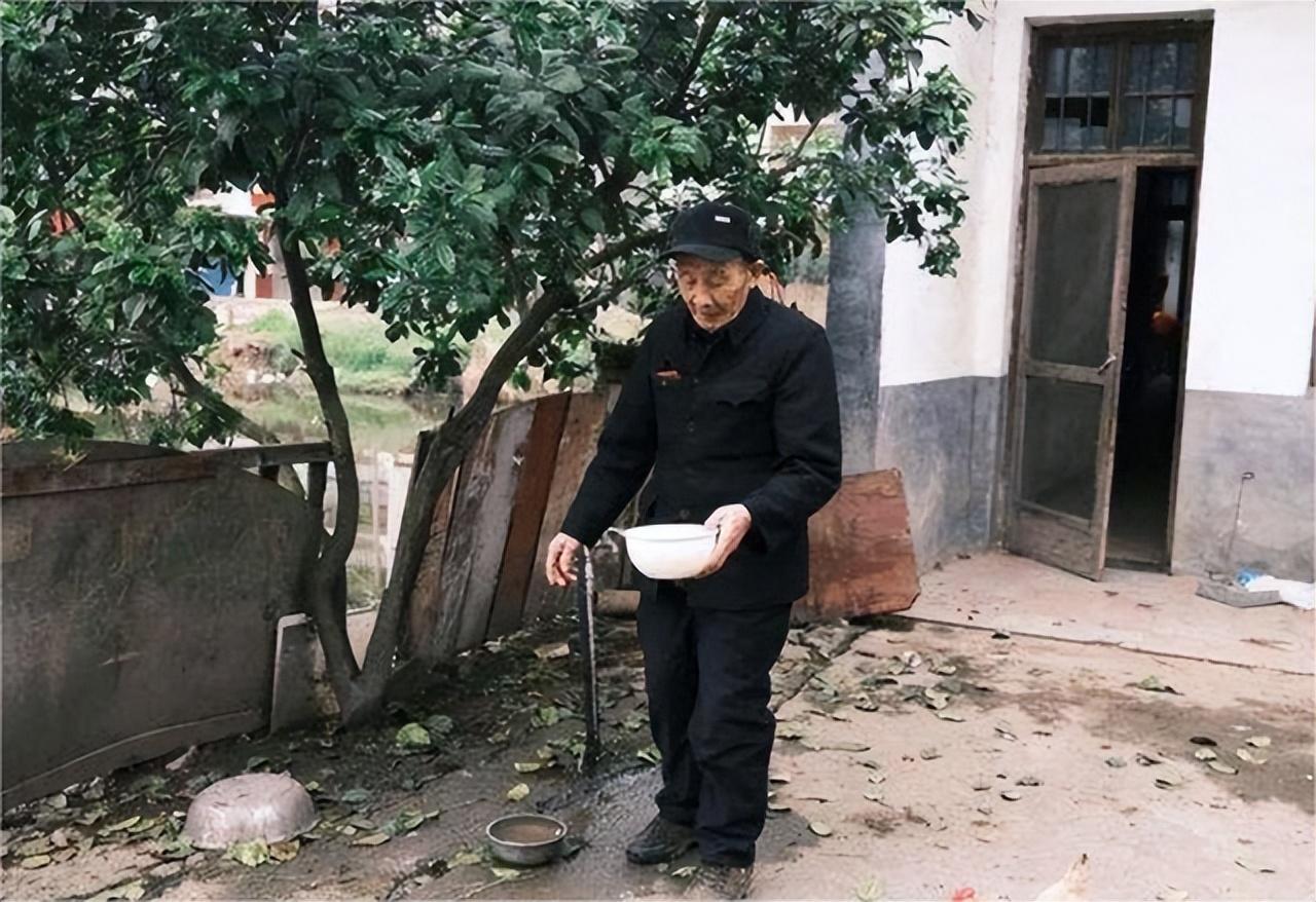 湖南大棚水产养殖项目，创新养殖模式，推动农业现代化发展