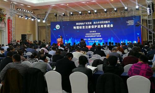 九的商标图案，象征与意义