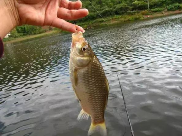 胎内气压不足，影响与应对措施