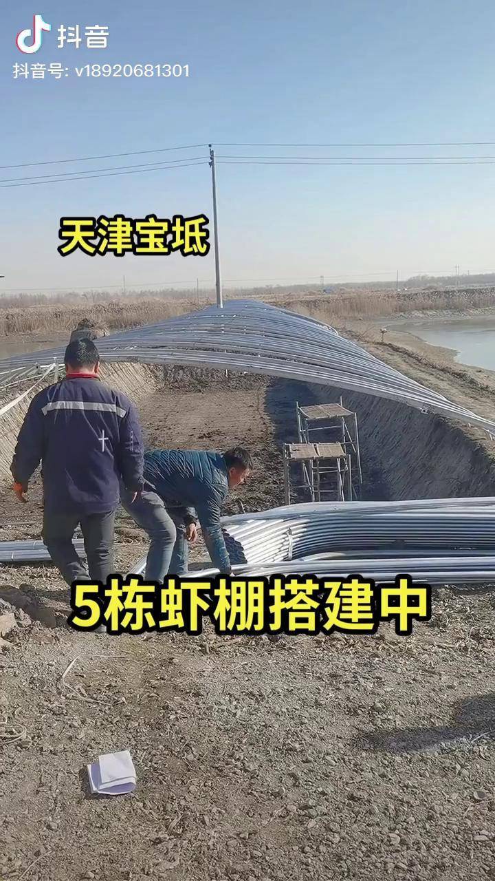 天津养虾大棚建设成本分析，了解养虾大棚多少钱