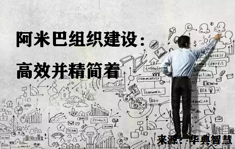阿米巴创投，引领创新与发展的先锋力量