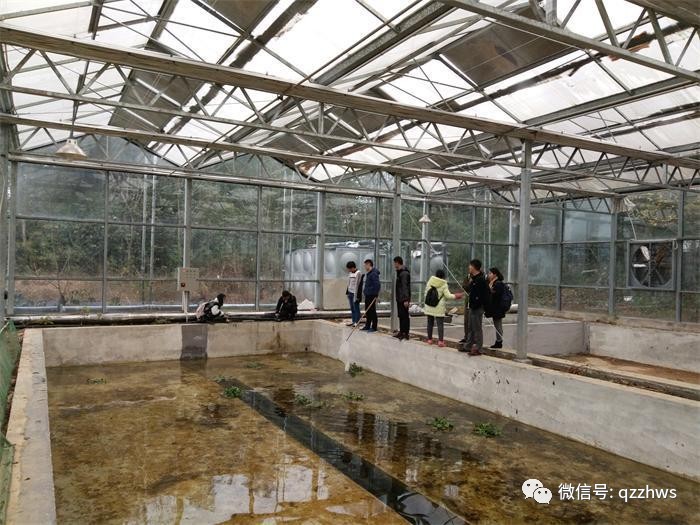 温室大棚内鱼池管理要点