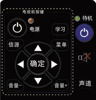 遥控器与生肖的奇妙关联