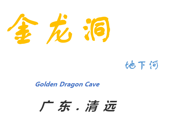 探索金龙图标的深层含义