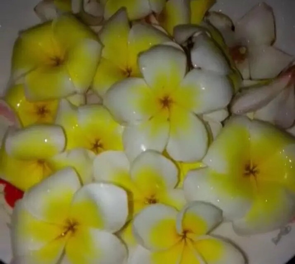 鸡蛋花怎么是熟的，一种热带美食的烹饪探索