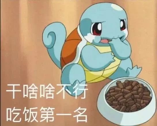 制作宝可梦表情包，创意与乐趣的结合