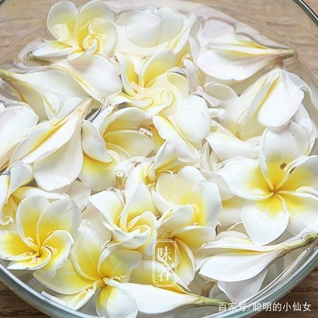 如何冲制美味的鸡蛋花，详细步骤与技巧分享