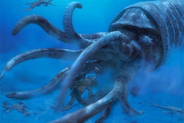初中生物基础知识一本通，掌握生物学的关键要素