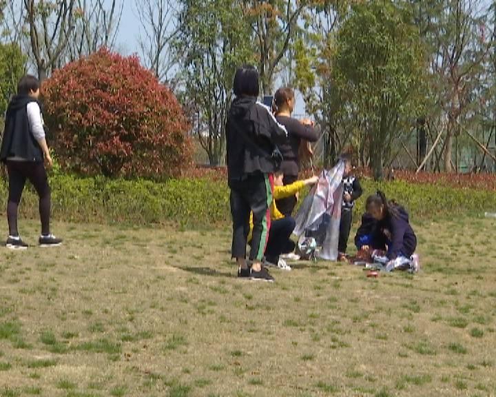 肥西苗木热销品种探析