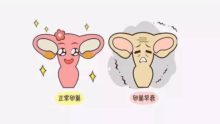 取卵后为什么会有腹水，深度解析与应对建议