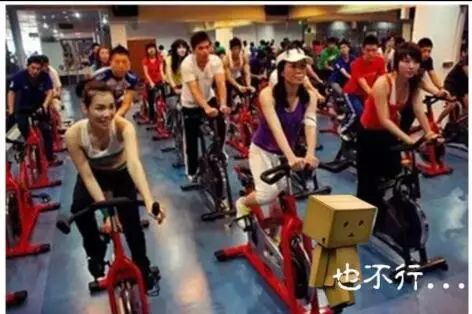上海健身房招聘，寻找热爱健康、充满活力的团队伙伴