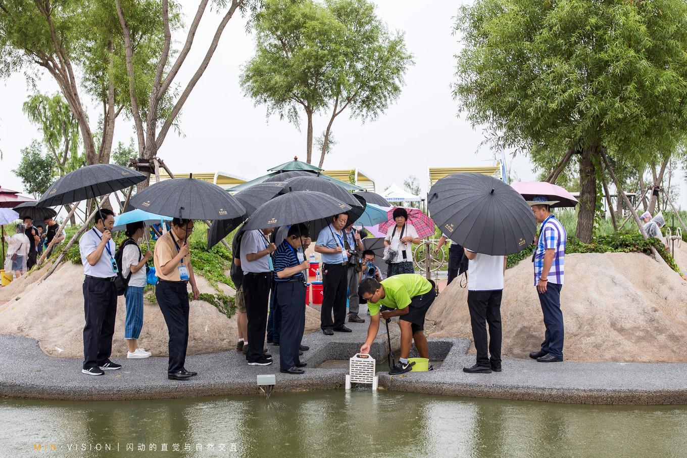 德国多玛自动门装置，技术与艺术的完美结合