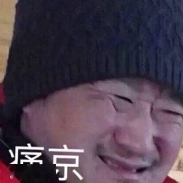 海马图标表情，探索符号背后的故事与情感表达