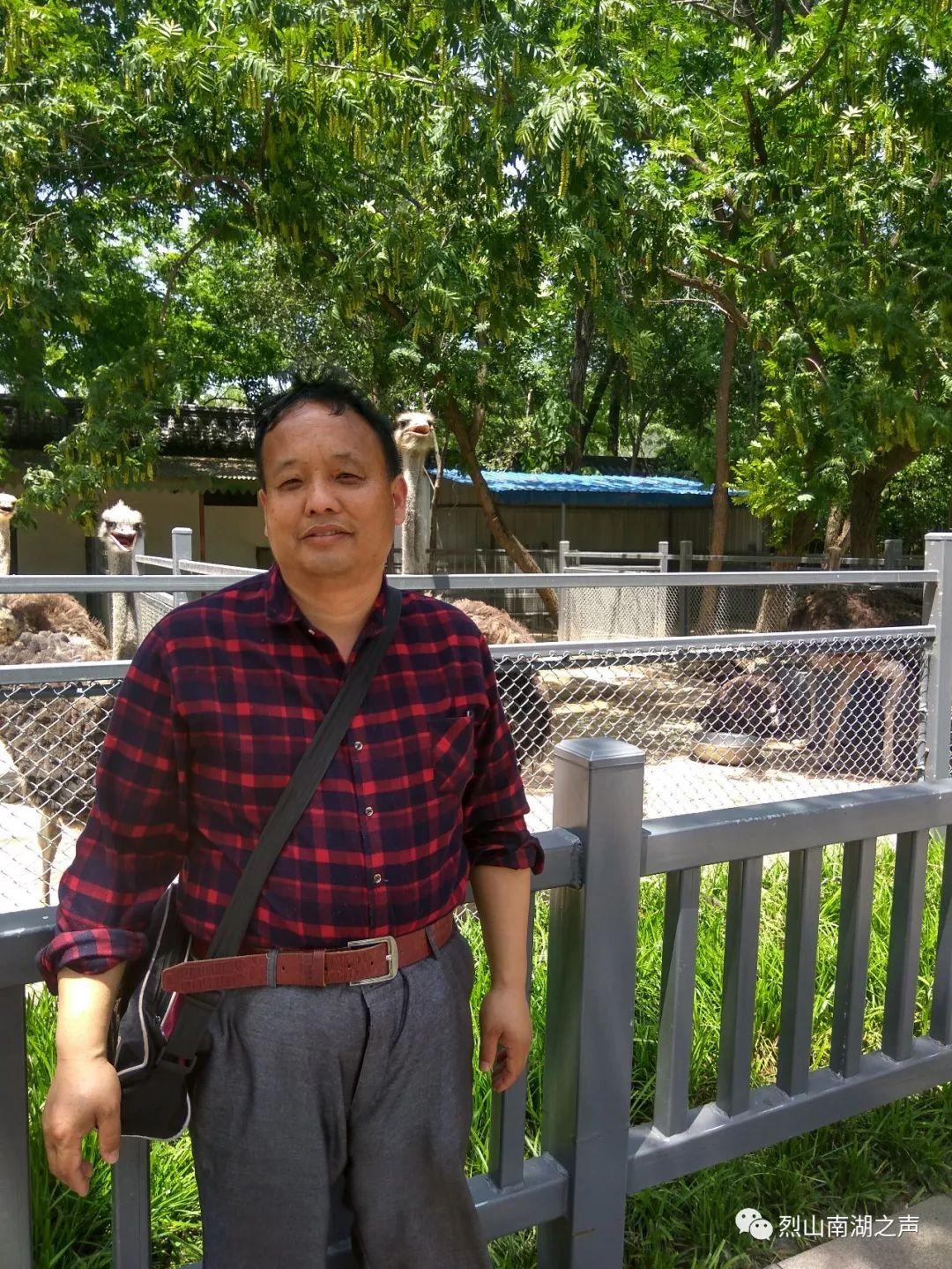小班兔子美术教案