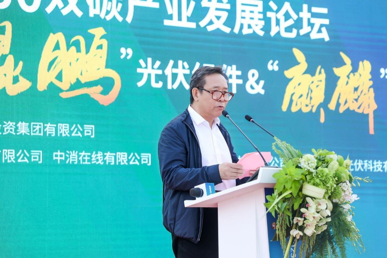 户用光伏消纳文件的深度解读与应用前景