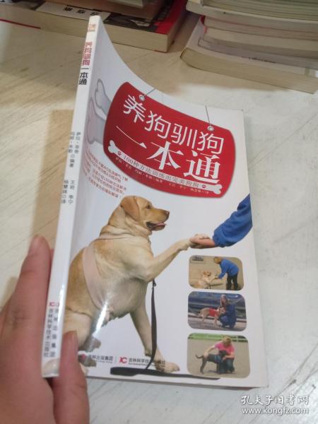 养狗驯狗一本通，掌握宠物狗驯养的关键要素