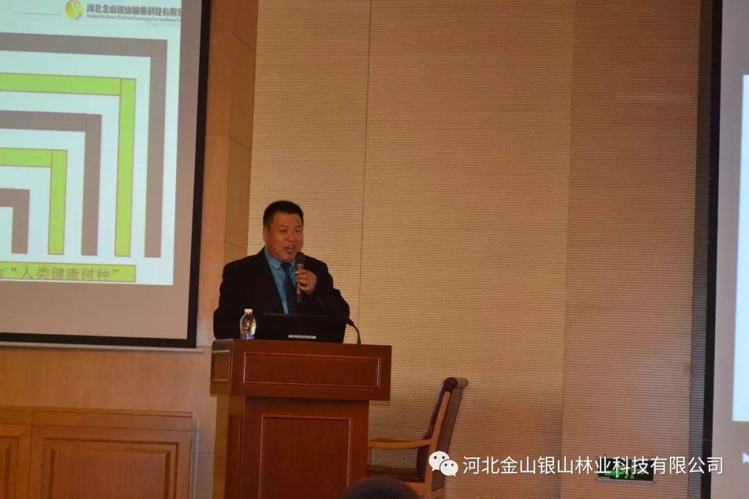 探究楸树品种，哪种楸树最佳？