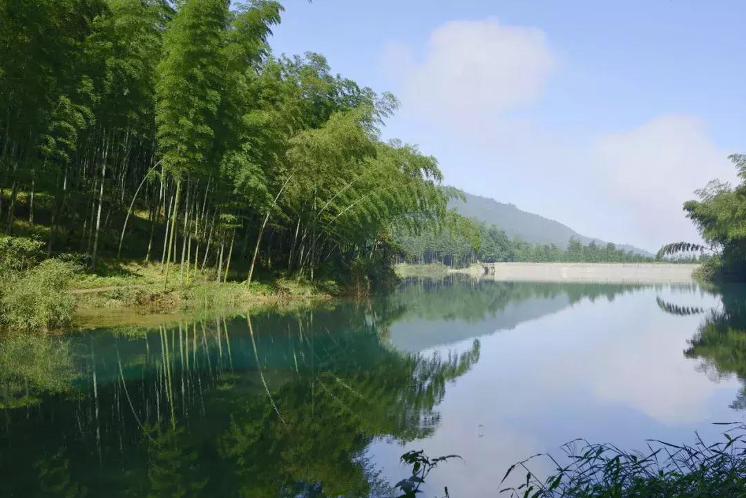四川园林植物品种及其特色