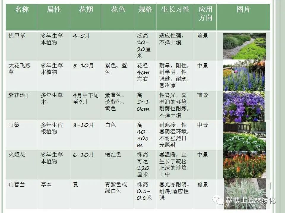 植物品种应用分析