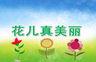 大班美术说课稿