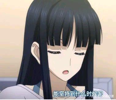 白色相簿2表情包，情感与娱乐的完美融合