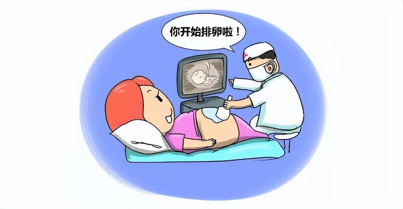 医院取卵，现代医学的辅助生殖技术