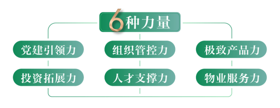 博斯迈健身，塑造健康生活的引领者