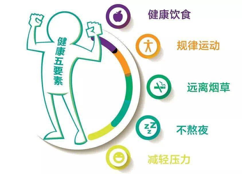 美特健身，塑造健康生活的力量之源