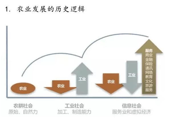 中发文件9号，引领未来的政策指南